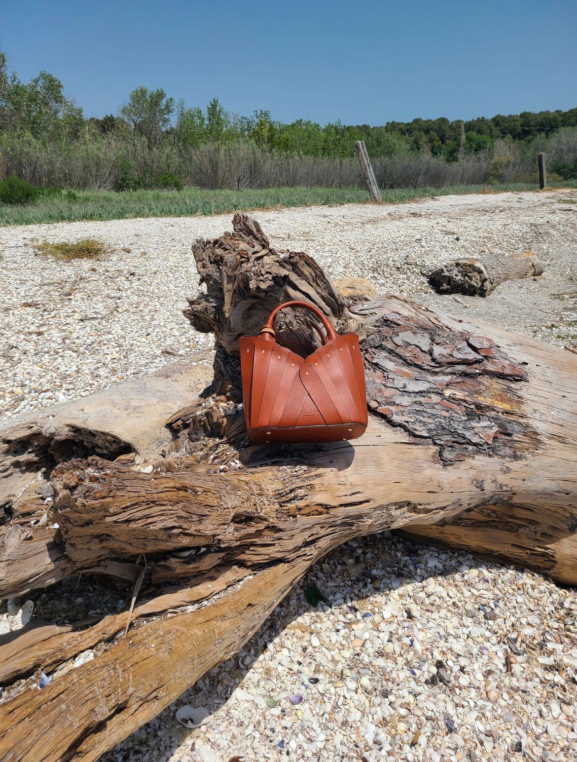 Sac cuir femme | ÉLÉGANCE