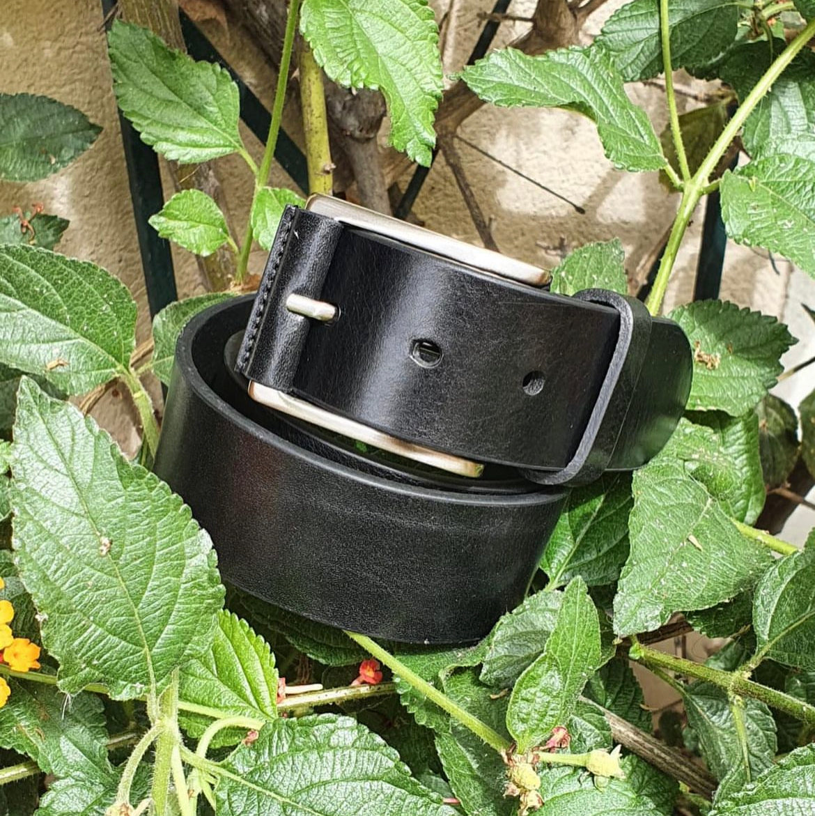 Ceinture cuir | HERCULE